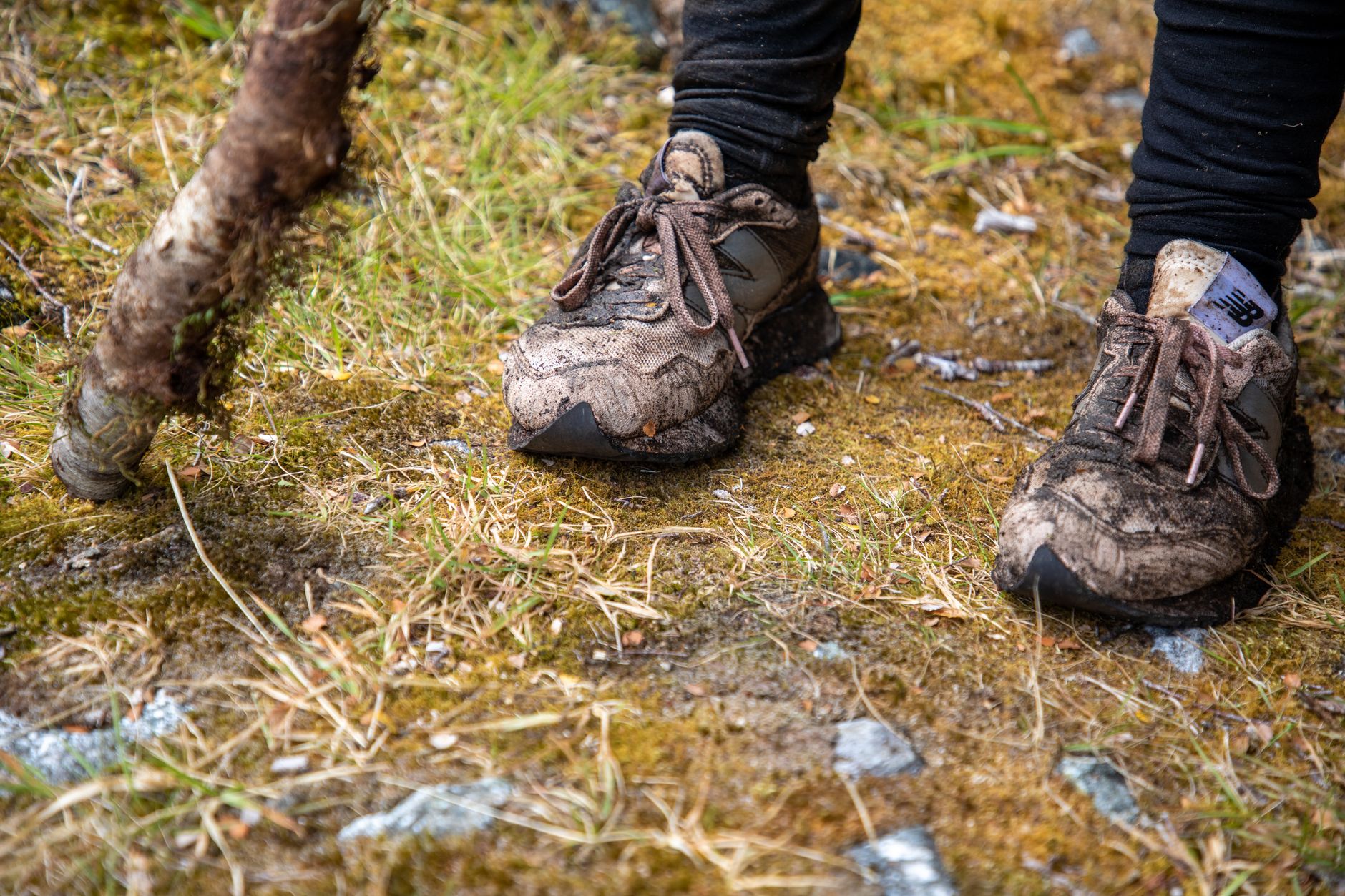 Fiordland Tramping Trail